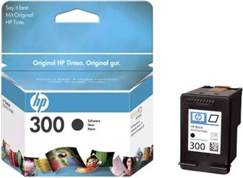 Hp Blekk Svart No.300 - F4280