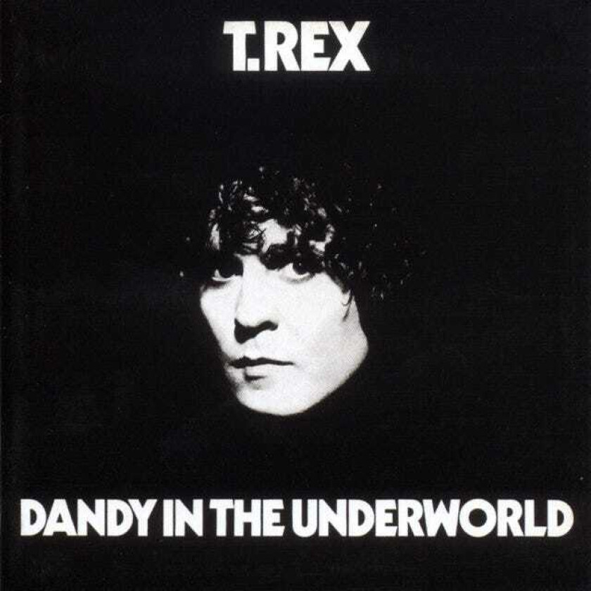 T.Rex : Dandy in the Underworld CD Deluxe Album (2002)