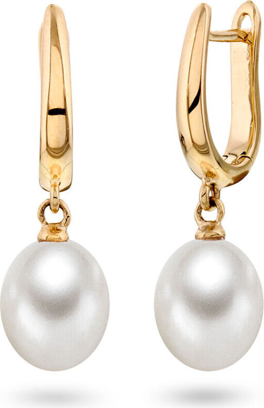 , Øredobber i 585 gult gull med ferskvannsperler