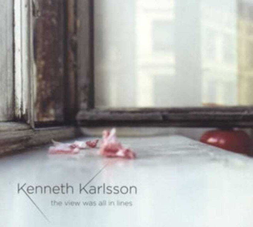 Unknown Artist : The View Was All In Lines CD