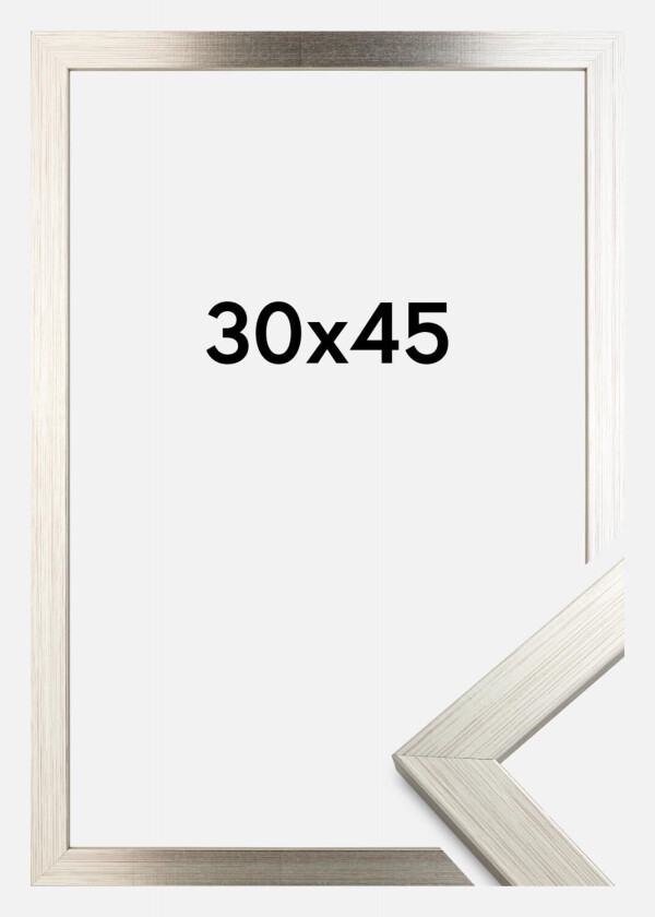 Ramme Silver Wood 30x45 Cm