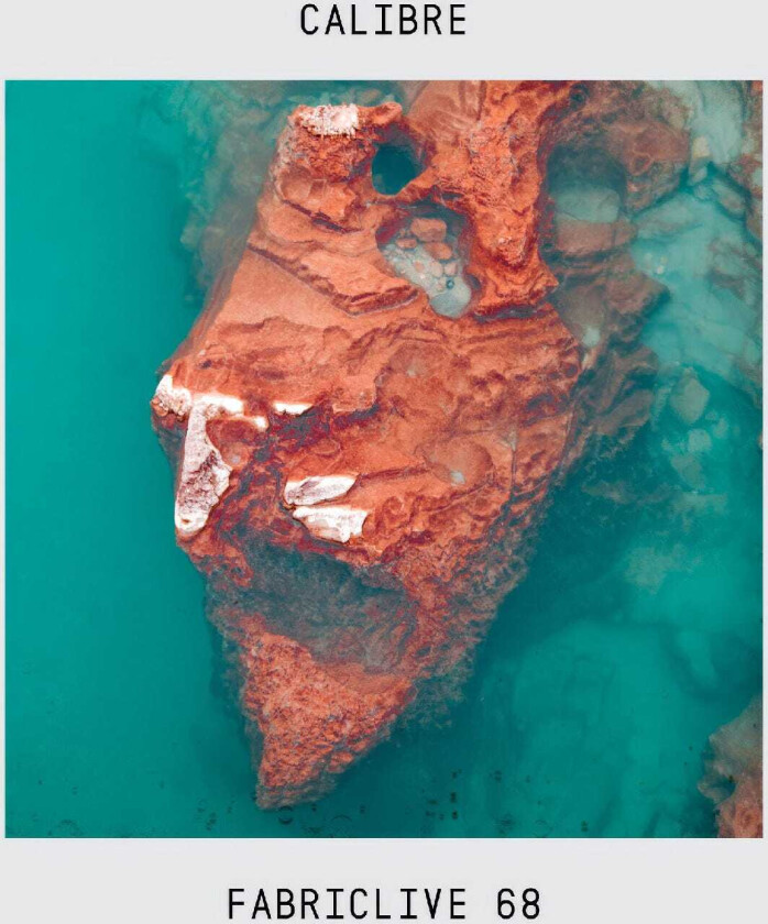 Various Artists : Fabriclive 68: Mixed By Calibre CD (2013)