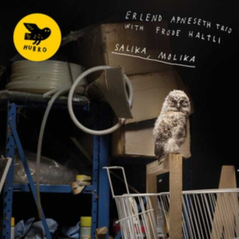Erlend Apneseth Trio with Frode Haltli : Salika, Molika CD (2019)