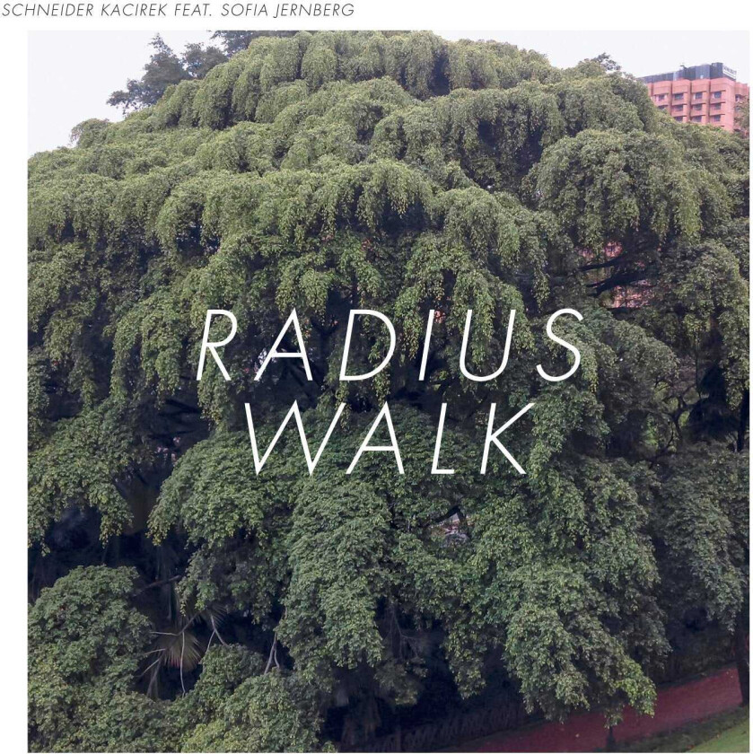 Schneider Kacirek : Radius Walk CD (2017)