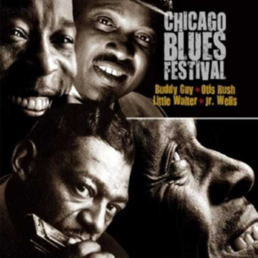 Various Artists : Chicago Blues Festival CD (2009)