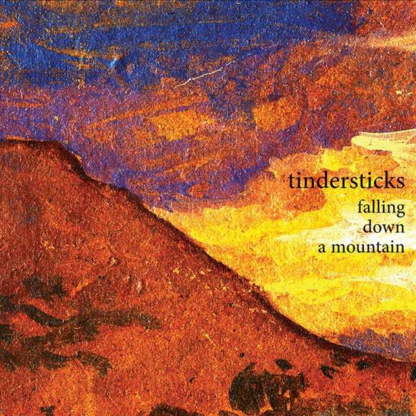 Tindersticks : Falling Down a Mountain CD (2010)