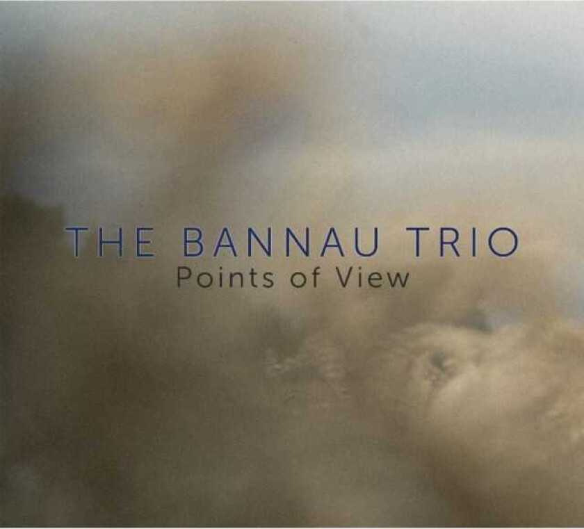 The Bannau Trio : Points of View CD (2013)
