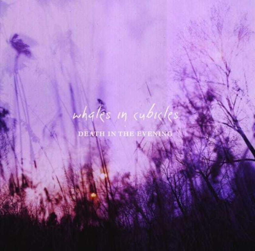 Whales In Cubicles : Death In The Evening CD