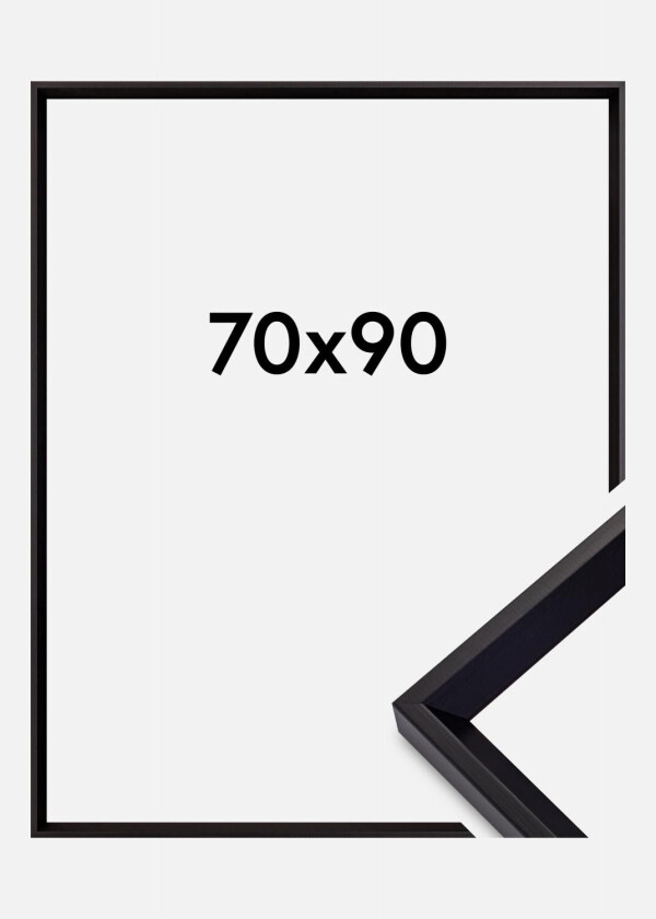 Ramme Globe Akrylglass Svart 70x90 Cm