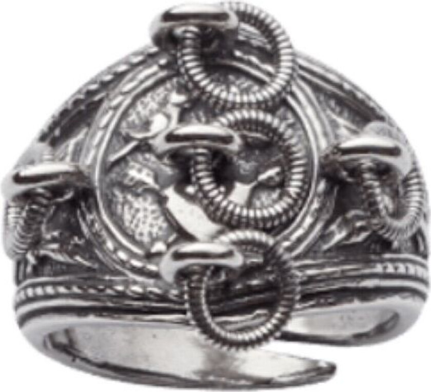 Bunadsring Nordmøre i 830 oksidert sølv