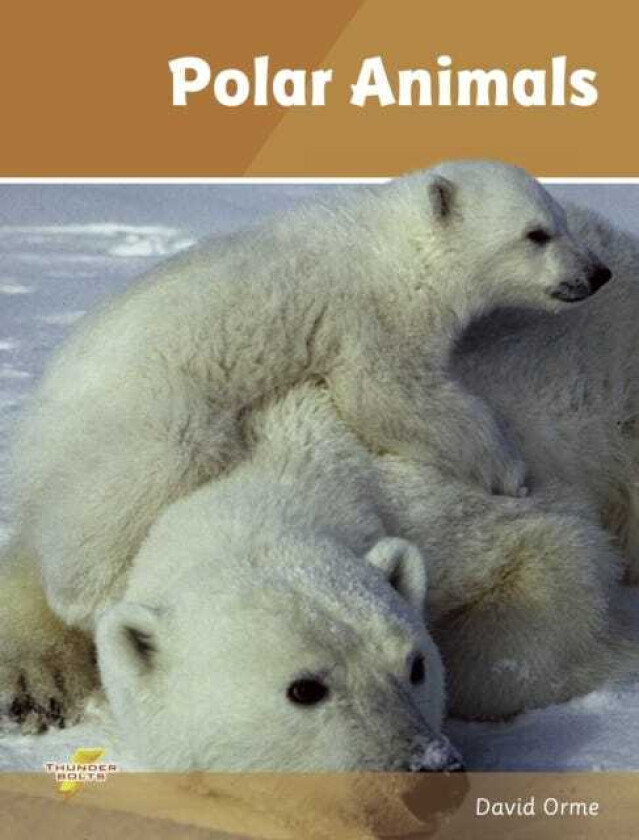 Polar Animals