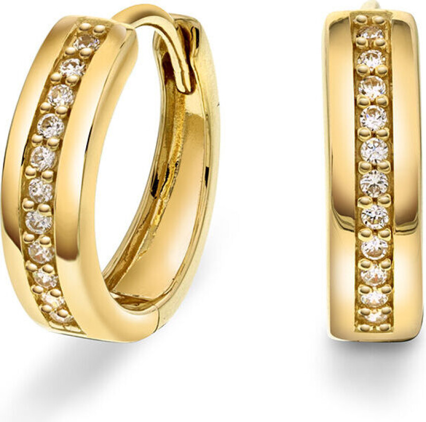 Bilde av , Øreringer i 585 gult gull med zirkonia