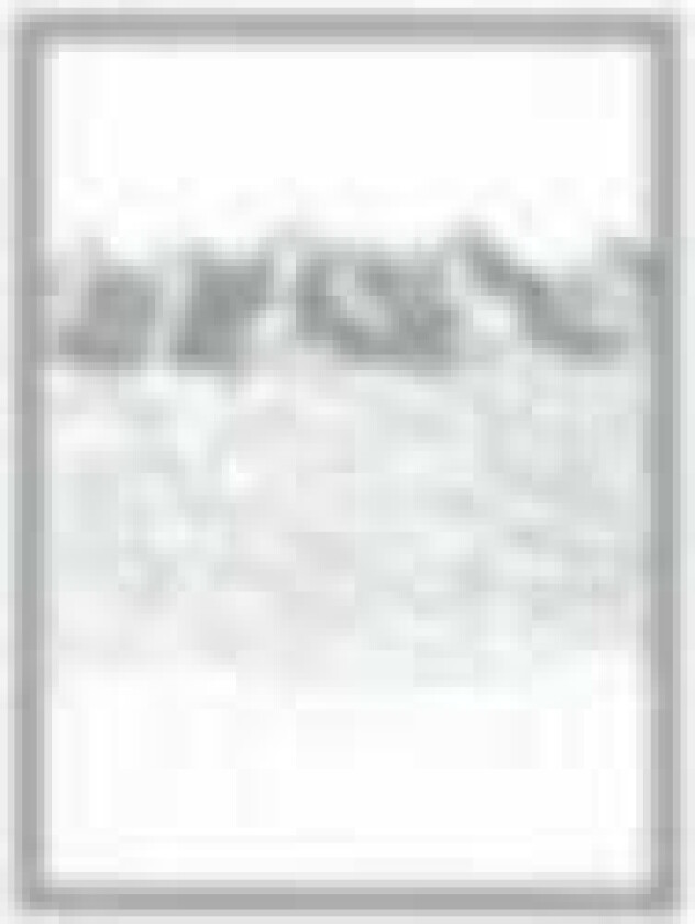 Isis : Oceanic: Remixes/Reinterpretations CD