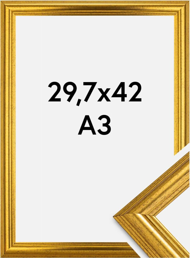 Ramme Västkusten Akrylglass Gull 29,7x42 Cm (A3)