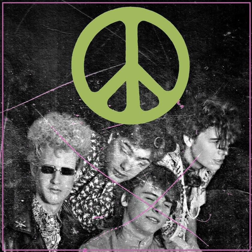 The Flaming Lips : Scratching the Door: The First Recordings of the Flaming