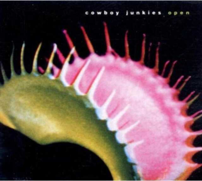 Cowboy Junkies : Open CD (2001)