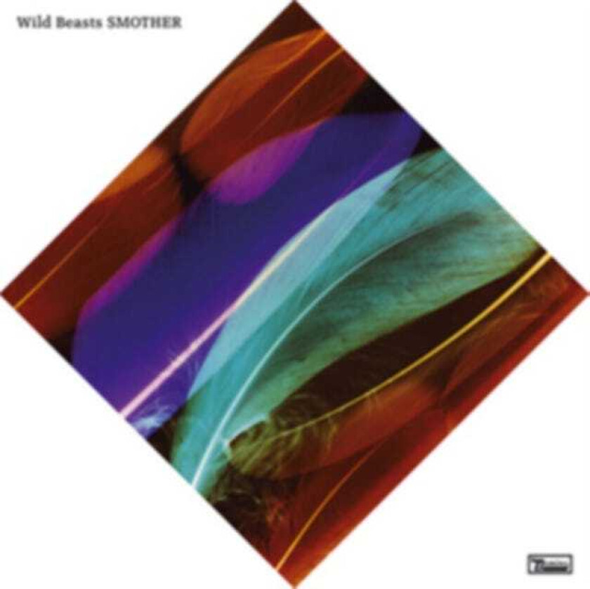 Wild Beasts : Smother CD (2011)