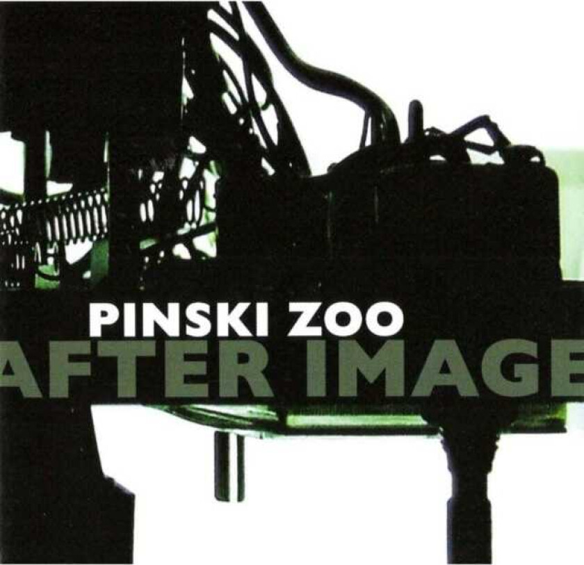 Pinski Zoo : After Image CD