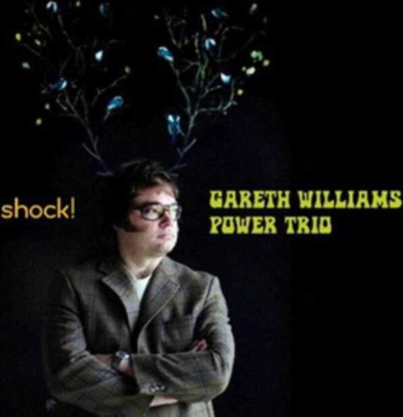 Gareth Williams Power Trio : Shock CD Hybrid (2009)