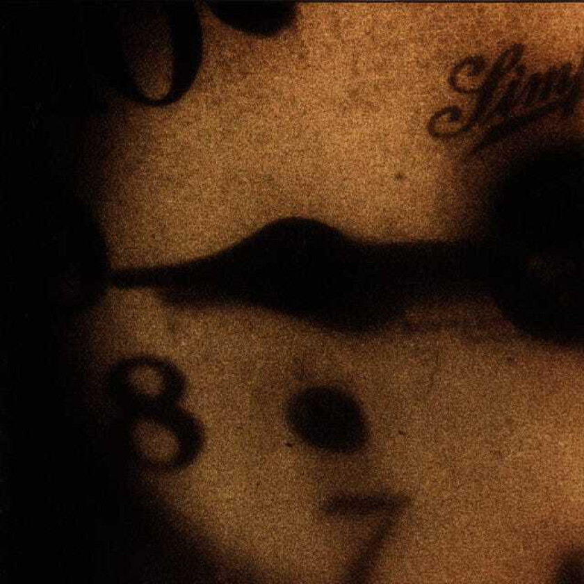 Mark Kozelek : Rock N Roll Singer CD