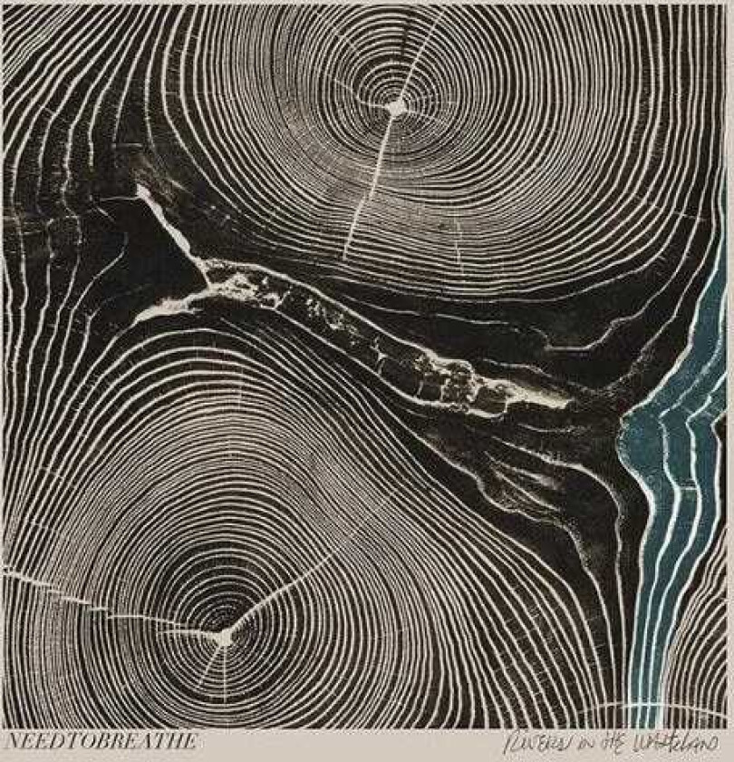 Needtobreathe : Rivers in the Wasteland CD (2014)