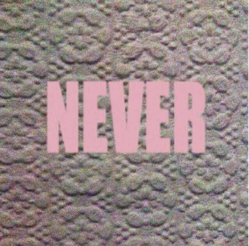 Micachu & The Shapes : Never CD (2012)