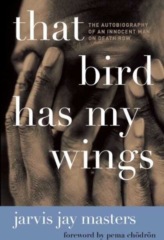 That Bird Has My Wings