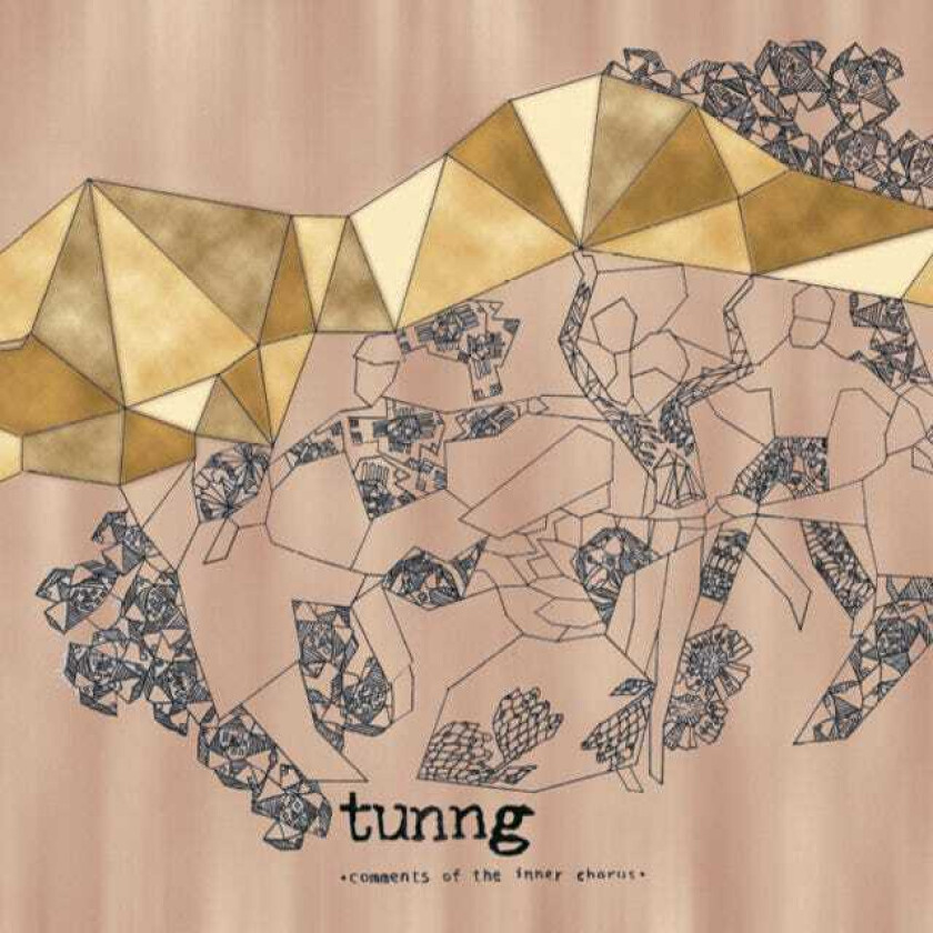 Tunng : Comments of the Inner Chorus CD (2006)