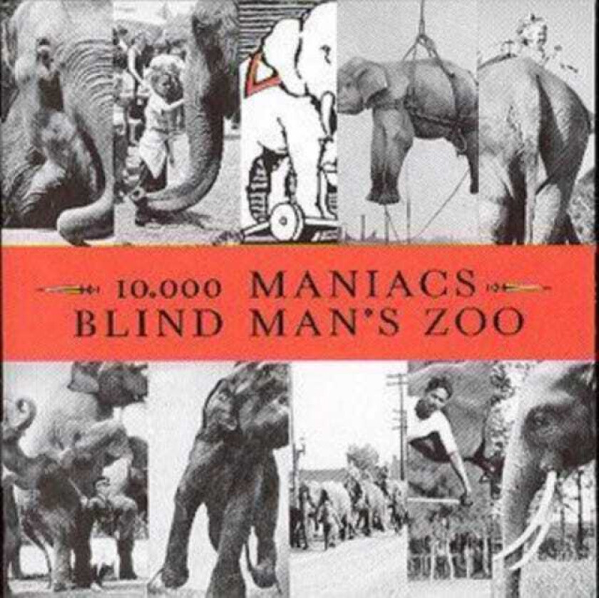 10,000 Maniacs : Blind Man’s Zoo CD (1989)