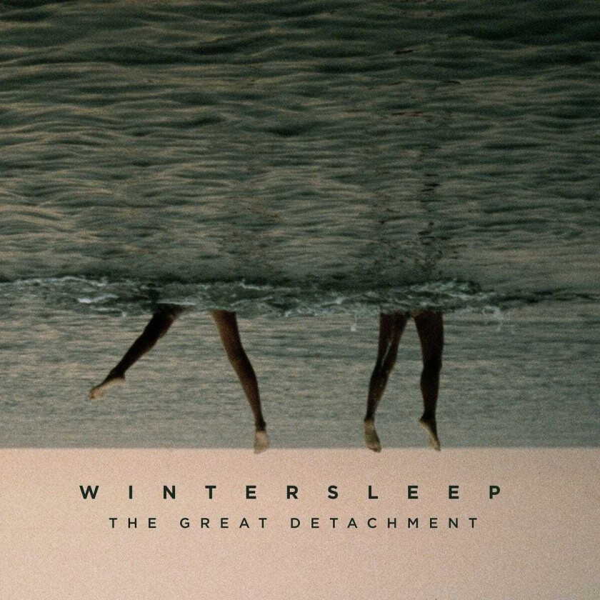 Wintersleep : The Great Detachment CD (2016)