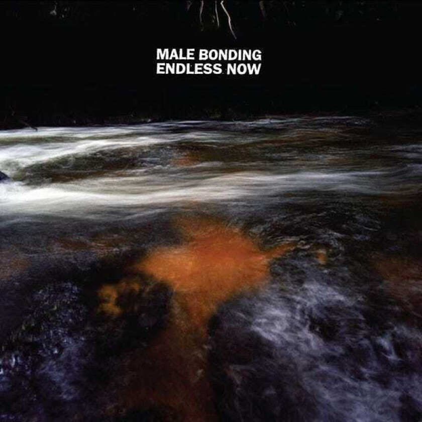 Male Bonding : Endless Now CD (2011)