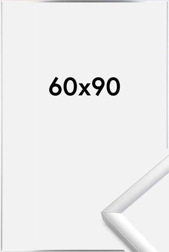 Ramme New Lifestyle Akrylglass Sølv 60x90 Cm