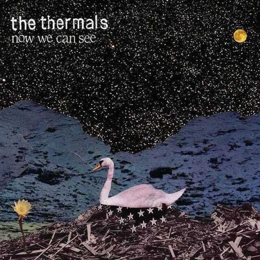 The Thermals : Now We Can See CD (2009)