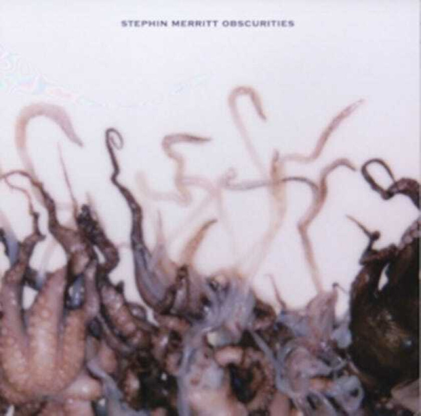 Stephin Merritt : Obscurities CD (2011)