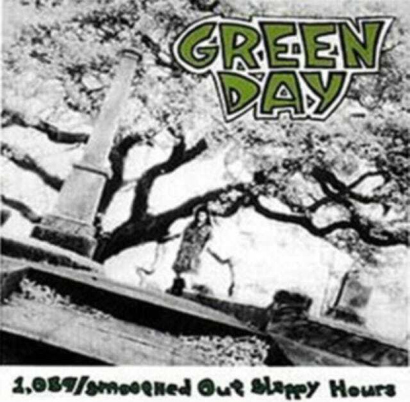 Green Day : 1,039/smoothed Out Slappy Hours CD (2007)