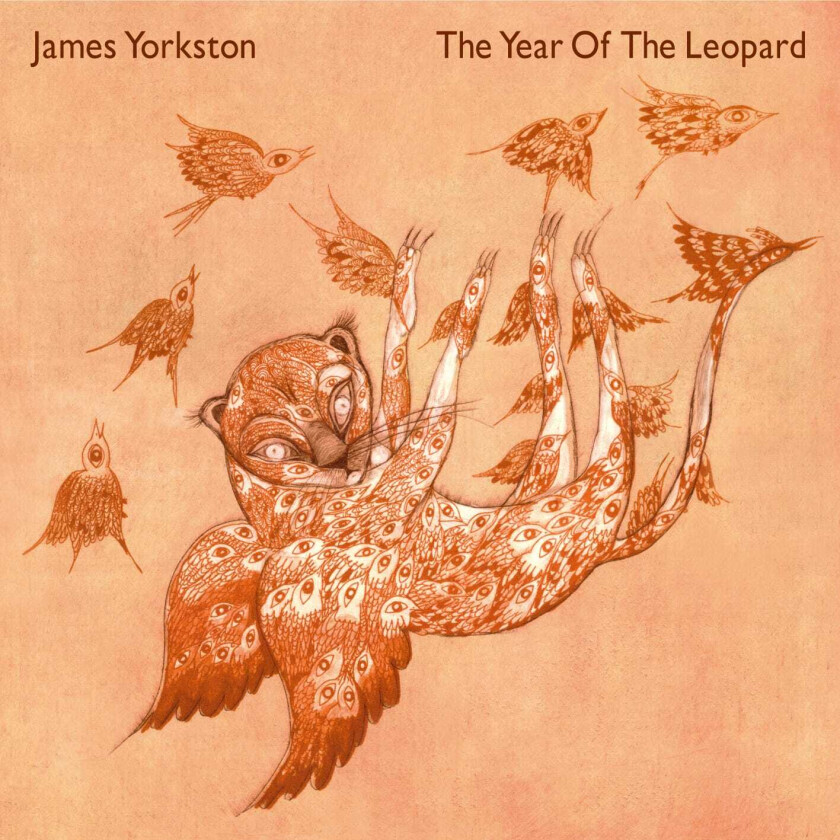 James Yorkston : The Year of the Leopard CD (2006)