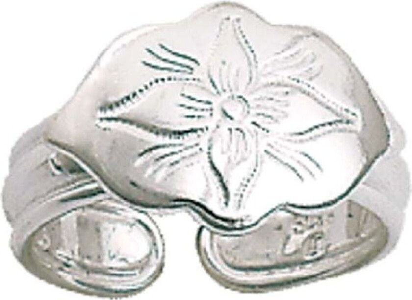 Bilde av Ring Rogaland i 830 hvitt sølv