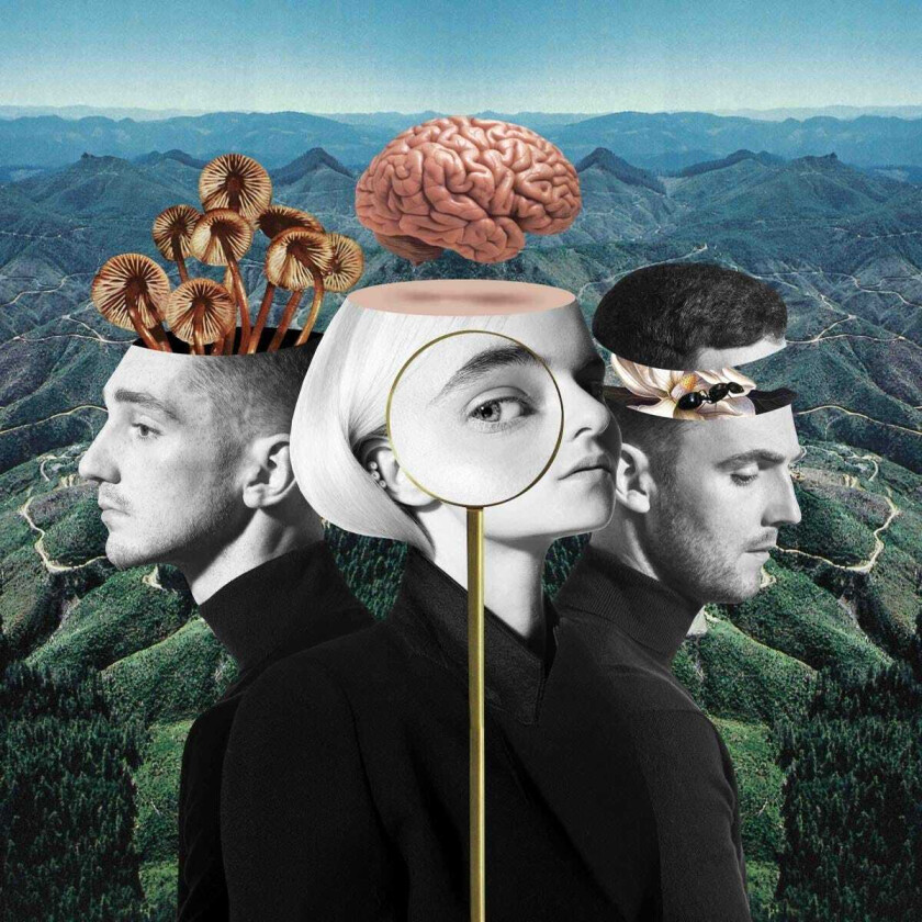Clean Bandit : What Is Love? CD (2018)