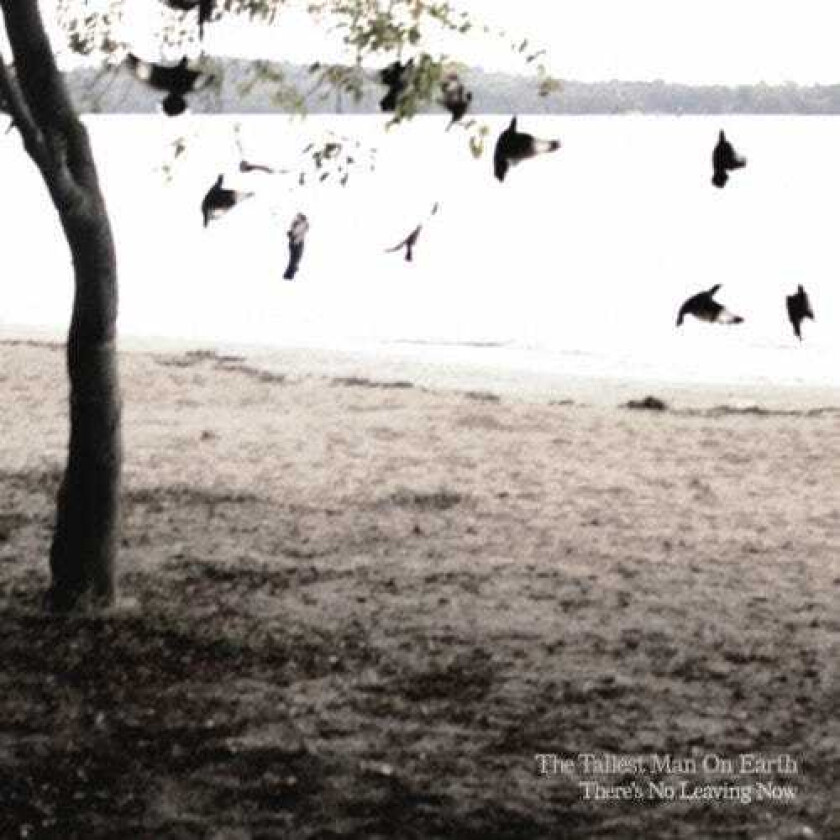 The Tallest Man On Earth : There’s No Leaving Now CD (2012)