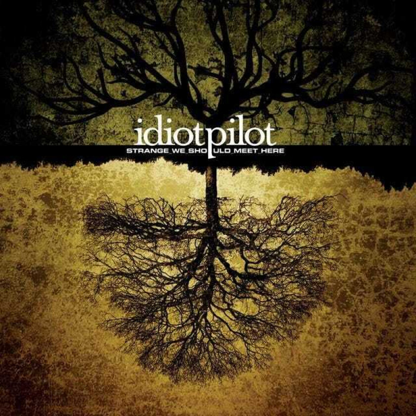 Idiot Pilot : Strange We Should Meet Here CD (2006)