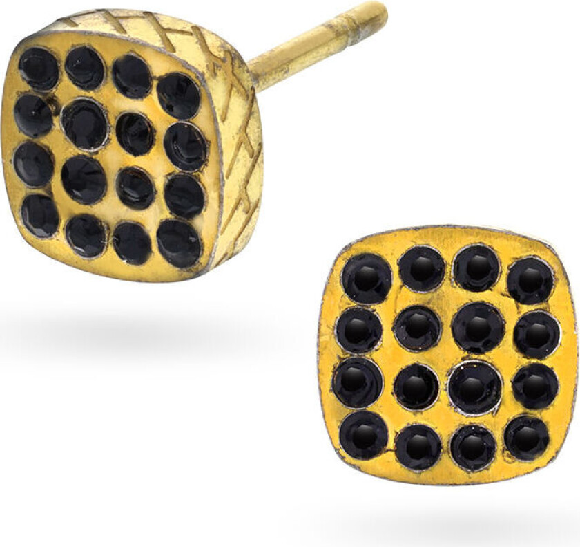 , Øredobber i forgylt stål med sort zirkonia