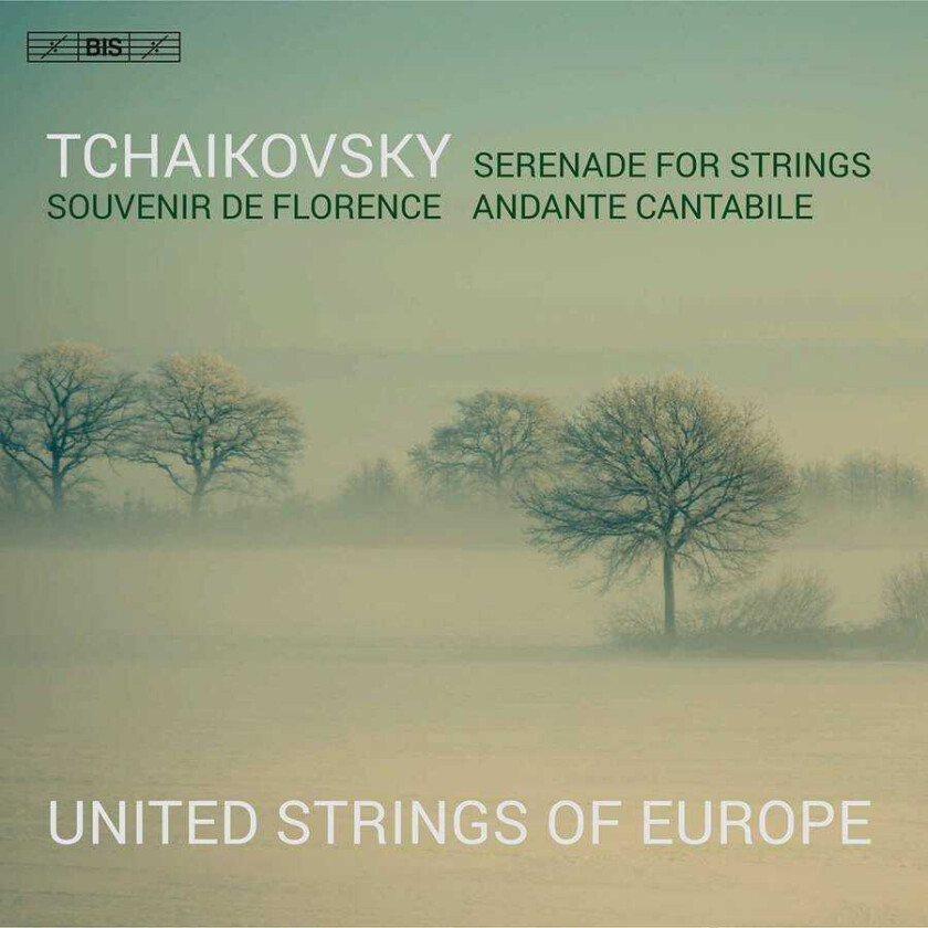 Tchaikovsky Pyotr Ilyich - Serenade