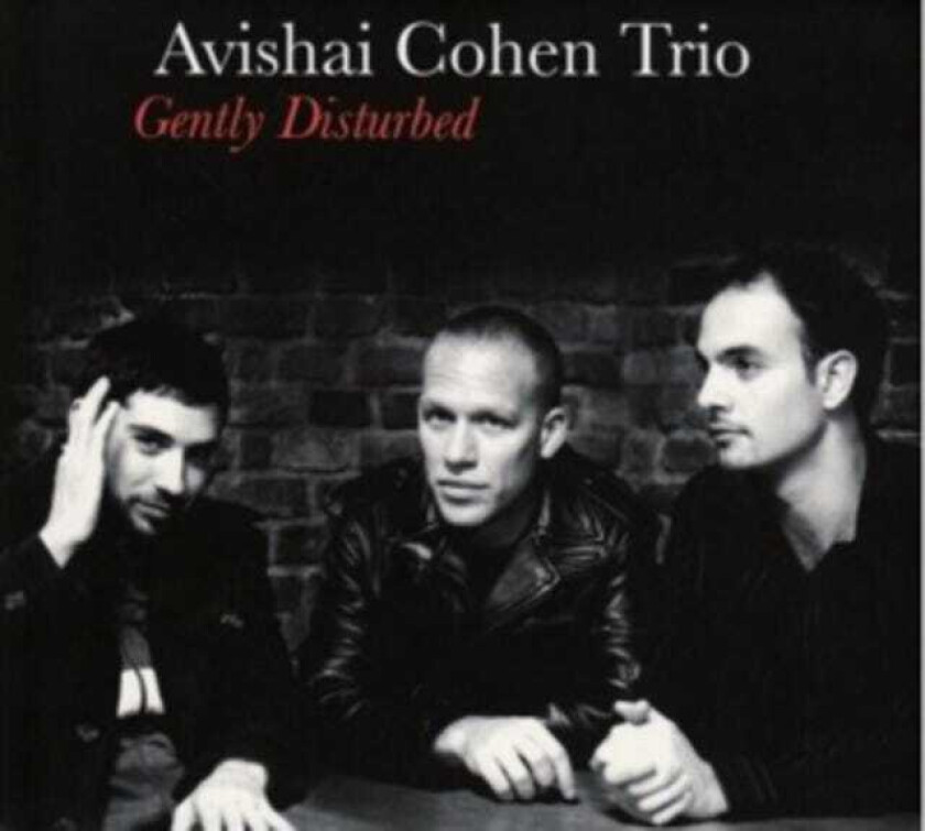 Avishai Cohen Trio - Gently Disturbed (Lp)