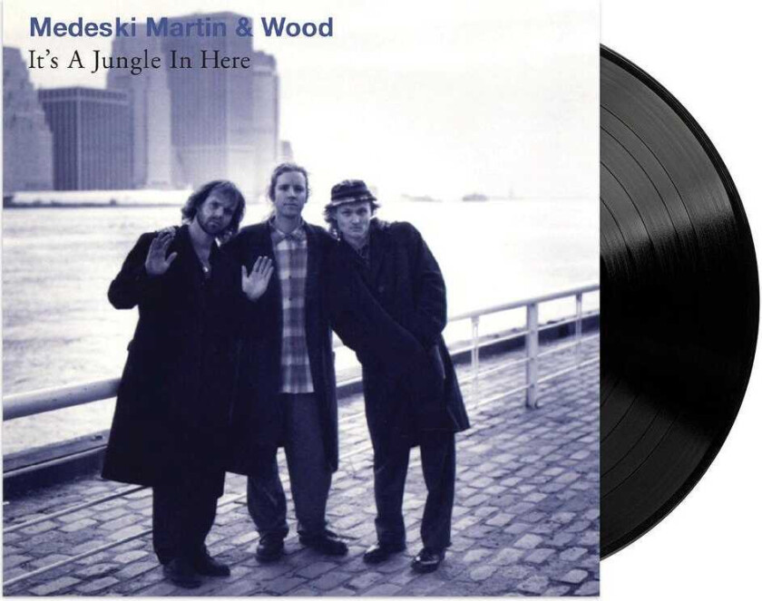 Medeski Martin & Wood - It's A Jungle In Here
