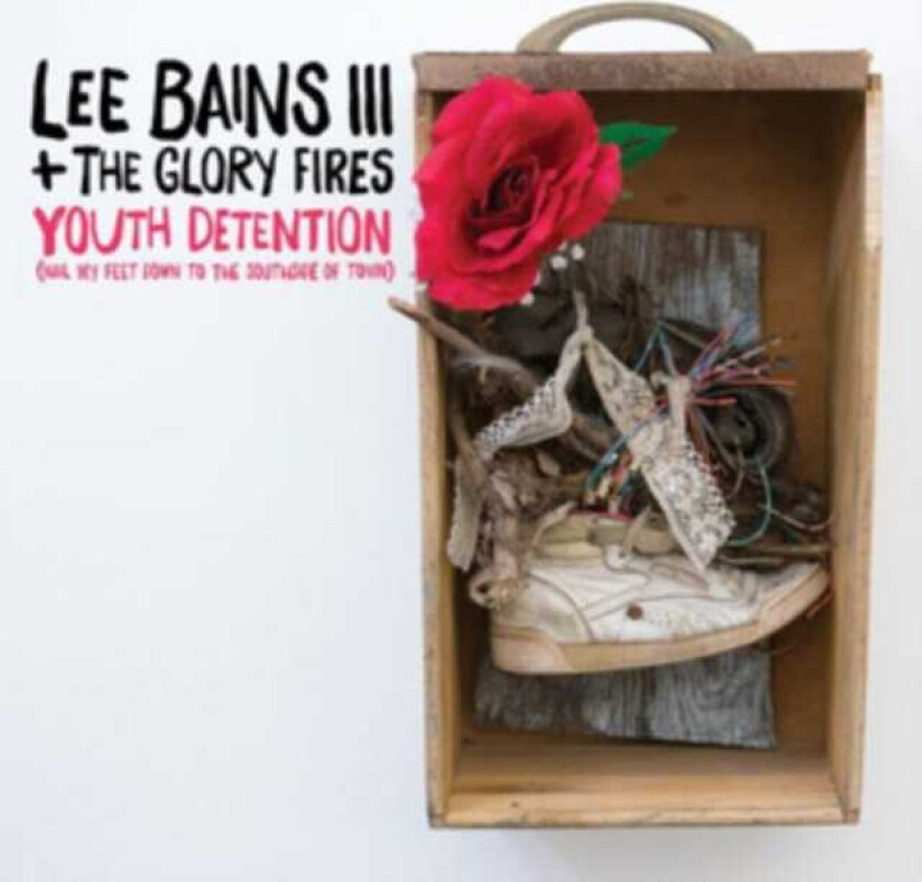 Bains Lee + The Glory Fires - Youth Detention