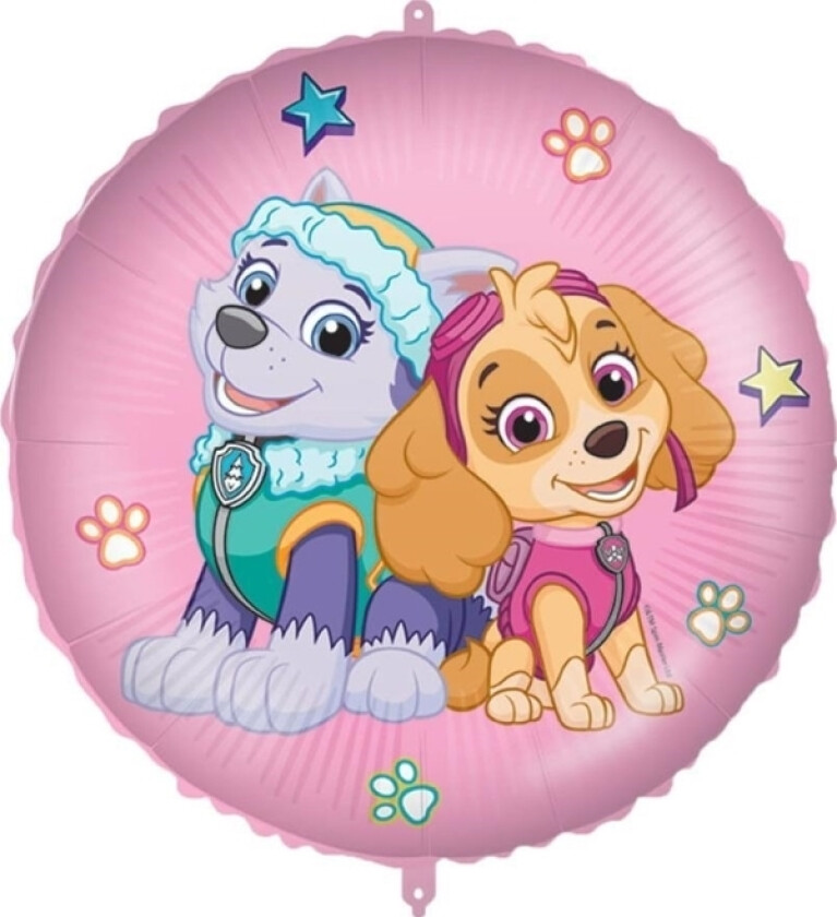 GoDan 18 "Foil Balloons Paw Patrol Skye and Everest 92976