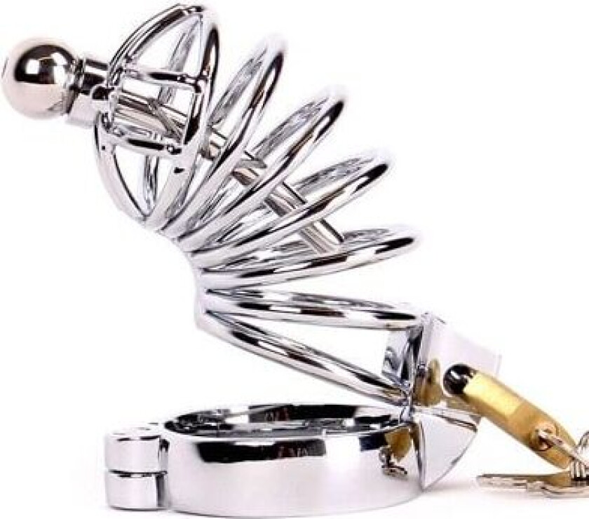 Kiotos Chastity Cage With Penis Stick Penisbur med dilator