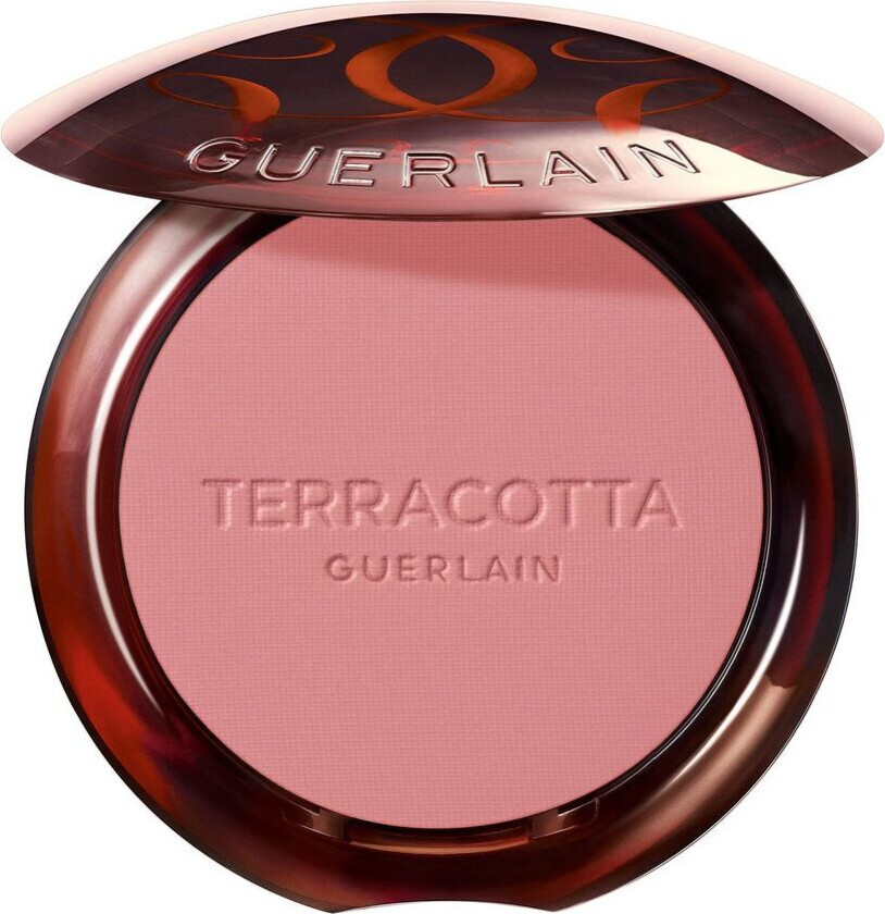 Terracotta Blush  01 5g