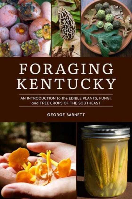 Foraging Kentucky Av George Barnett