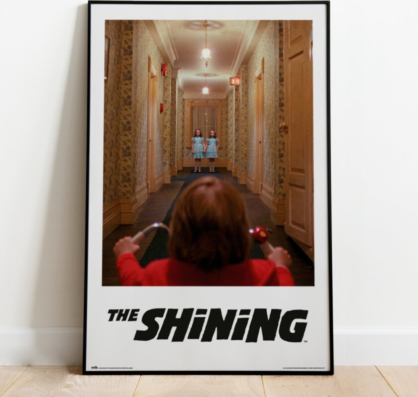 Maxiplakat Twin Trouble